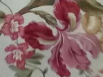 deep pink orchid or lily on cream background