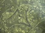 Sage-ish Green fabric Lee Nova Craft & Haberdashery St Marys (Sydney) fabric swatch